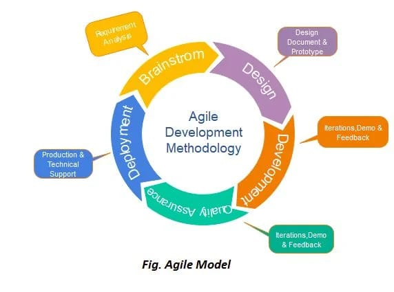 SEO Tools for Agile Solutions